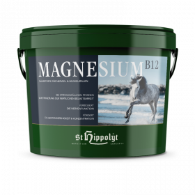 Ein Eimer St. Hippolyt Magnesium B12 2,5 kg